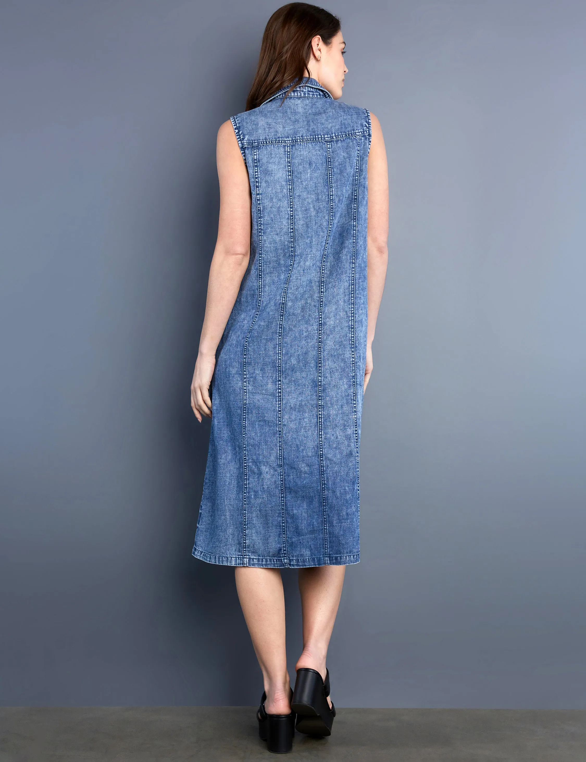Seamed Sleeveless Shirtdress